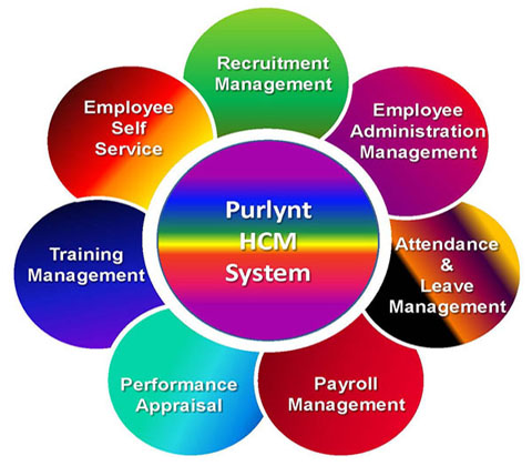 Introducing - Human Capital Management System